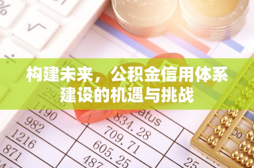 大同构建未来，公积金信用体系建设的机遇与挑战